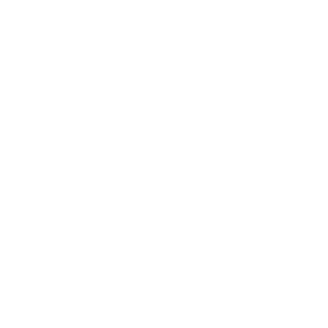 DARTSMANIA Schriftzug